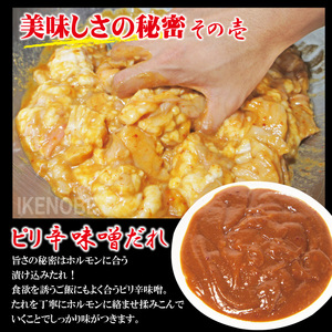 牛白ホルモンミックス ピリ辛味噌だれ 1kg(250g×4パック) 【 ホルモン】【ho1598】