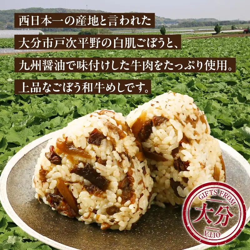 白肌ごぼうの和牛めしの素 2箱セット K03033