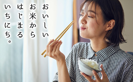 【令和7年産】【10営業日以内発送】ゆめぴりか 普通精米 5kg