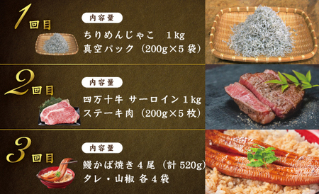 【12回定期便】四万十 の 贅沢 を詰め込んだ プレミアム 定期便 四万十市 高知 しまんと 鰹 かつお うなぎ 鰻 牛肉 和牛 小分け 四万十牛 じゃこ しらす 魚介 肉 鶏肉 鮎 天然鮎 豪華 2025-590
