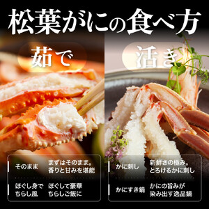 【2026年11月発送】特撰 松葉がに（茹）【ブランドタグ付き】400g超のサイズ  1杯