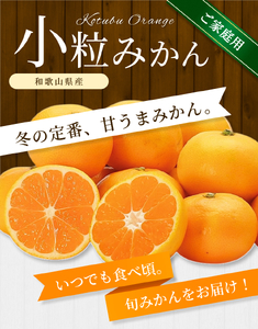 小粒みかん 約8kg 【家庭用】 森本農園の手選別 和歌山県産【BV-mrmt063】