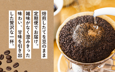 【6ヶ月定期便】 自家焙煎珈琲 こだわり コーヒー豆 400g×6回 （200g×2袋 毎月6回）