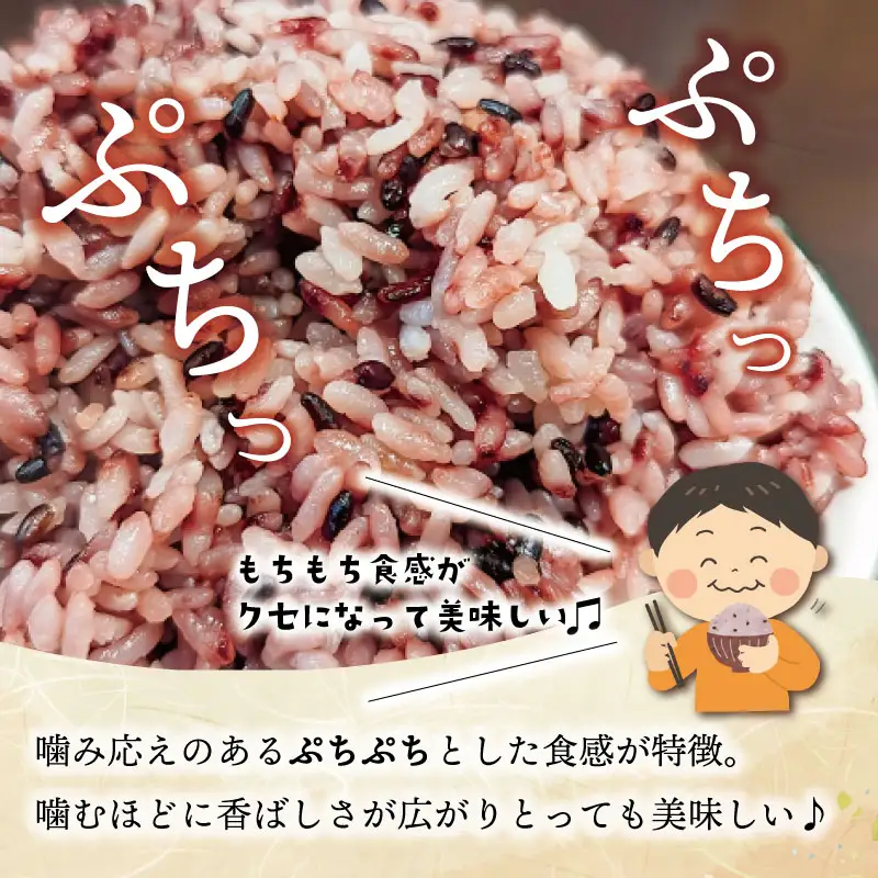 伊勢 斎宮 古代米 黒米 100g×3袋 合計300g