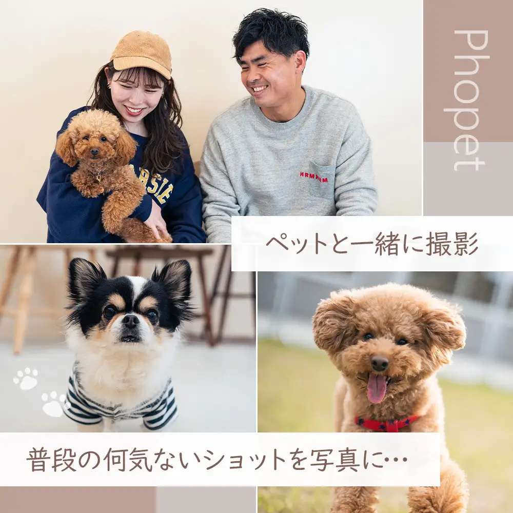ペットスタジオPhopet 撮影プランA・全データお渡し