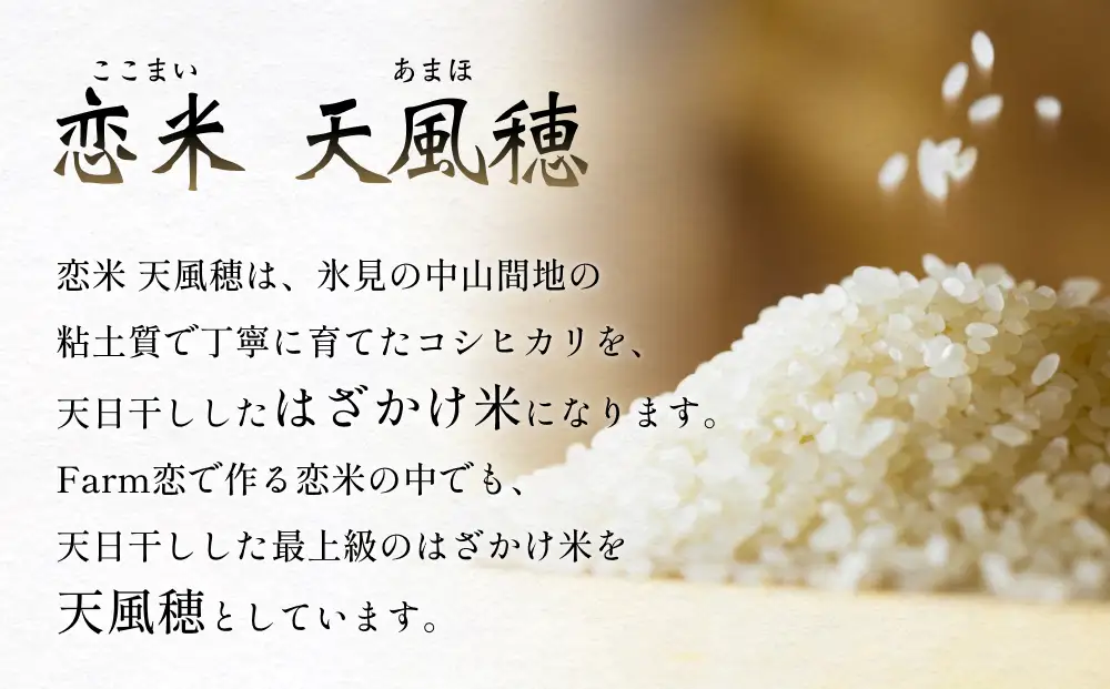 【先行予約】 令和8年産 富山県産 コシヒカリ はざかけ米 10kg 恋米（ここまい） ー天風穂（あまほ）ー ＜2026年10月初旬以降 順次発送予定＞ | 希少 はざかけ はさがけ 天日干し