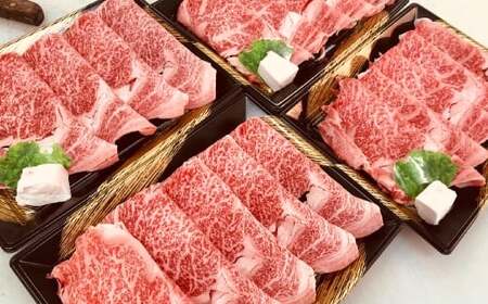 博多和牛 サーロイン しゃぶしゃぶ用 （約500g） 和牛 国産牛 黒毛和牛 黒毛和種 牛肉 サーロイン肉 お肉 肉 九州 福岡県 香春町 冷凍