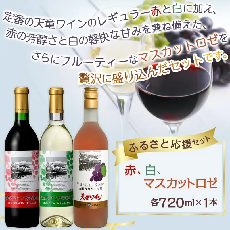 天童ワイン ふるさと 応援 セット 山形 ワイン 赤 白 ロゼ