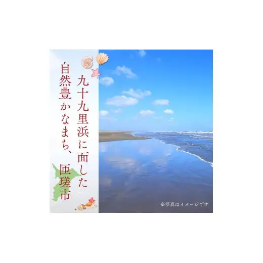 匝瑳市産水稲もち米使用　杵つき餅　約1.9kg ／ 杵つき餅 餅 切り餅 産地直送 送料無料 匝瑳市 千葉
