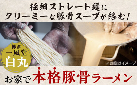 【全12回定期便】ラー麦使用「一風堂」とんこつラーメン 白丸(8食)[BGAD033]