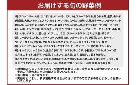 高知の野菜（8品目）＋ゆずポン酢セット ／ 野菜 やさい ゆずポン酢 ゆずぽん酢 柚子ポン酢 柚子ぽん酢 セット 旬野菜 高知県 香美市 冷蔵