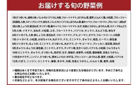高知の野菜（10品目）＋ゆずポン酢セット ／ 野菜 やさい ゆずポン酢 ゆずぽん酢 柚子ポン酢 柚子ぽん酢 セット 旬野菜 高知県 香美市 冷蔵