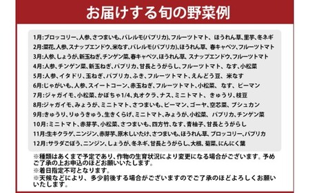 高知の野菜（13品目）＋ゆずポン酢セット ／ 野菜 やさい ゆずポン酢 ゆずぽん酢 柚子ポン酢 柚子ぽん酢 セット 旬野菜 高知県 香美市 冷蔵