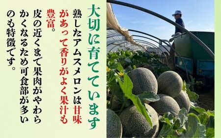 アムスメロン 2玉 メロン
