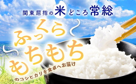 【ふるなびWEEK対象】【令和7年産】【精米】コシヒカリ5kg｜茨城県 常総市産 精米 米 お米 白米 ご飯 コメ こめ こしひかり ※2025年10月～発送
