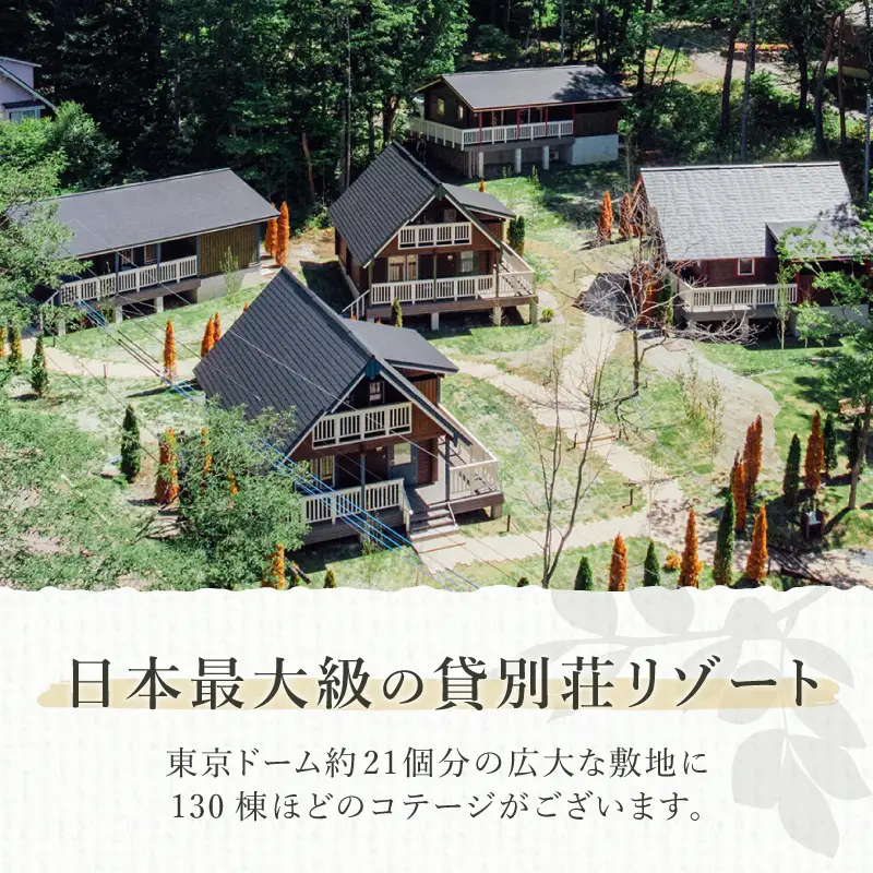 八ヶ岳高原リゾート 施設利用券30,000円 [h012]