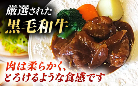 【全6回定期便】 熊本県産 黒毛和牛 こだわりのビーフシチュー 計2パック （約250g×2パック） ビーフシチュー ビーフ シチュー 牛肉 肉 　【有限会社スイートサプライなかぞの】[ZBV109]