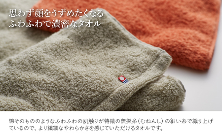 今治ふんわり雲羽タオル ミニバスタオル・フェイスタオルセット(テラコッタ×2) テラコッタ ピスタチオグレー 今治タオル 今治 日本製 高品質タオル 吸水性 抜群タオル ふわふわタオル 無撚糸 綿100% ふんわりタオル 【m100-15-A】【トクダ】
