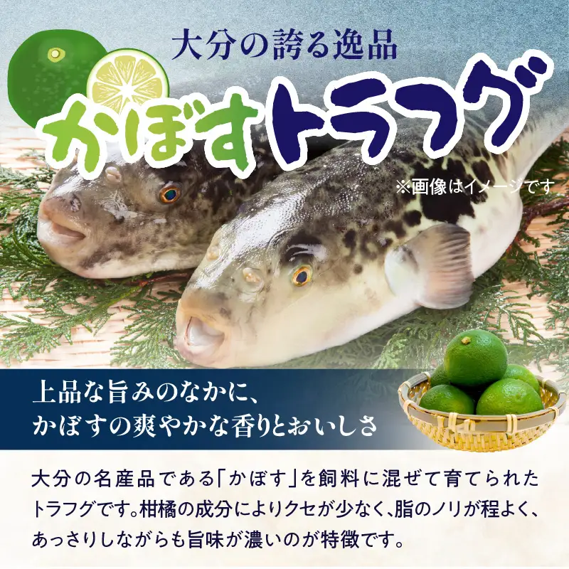 かぼすトラフグ うす引き・チリセット（36cm皿）【12月～2月までお届け】 E05028