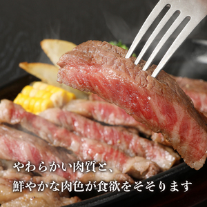 山梨県北杜市産　甲州牛　黒毛和牛　サーロインステーキ5枚（1枚250g×5枚） [h021]