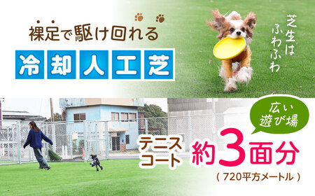 ドッグラン利用券(12回分) / ドッグラン 犬 施設 利用券 利用チケット 回数券 ペット / 諫早市 / 株式会社美泉[AHAP042]