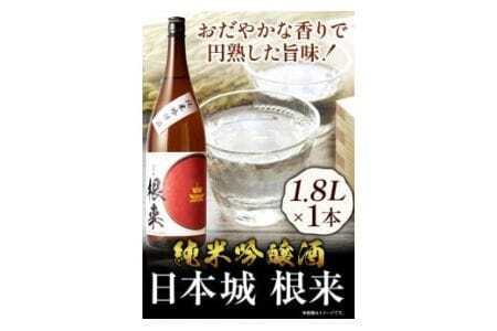 お酒 日本酒 日本城 根来 純米吟醸酒 1.8L
