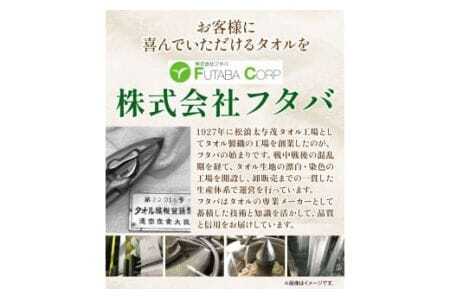ガーゼタオル 『泉州タオル』紗織捺染 ガーゼタオル 10枚セット