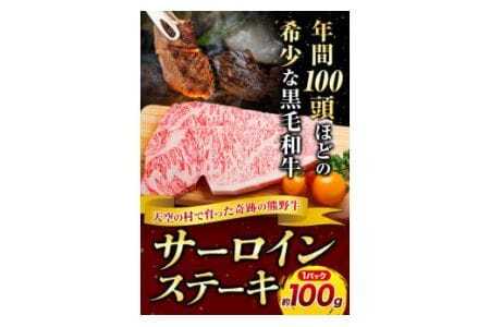 サーロインステーキ 黒毛和牛 牛 牛肉 ステーキ 約100g 約100g×1パック 