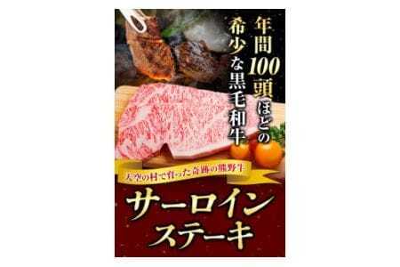 サーロインステーキ 黒毛和牛 牛 牛肉 ステーキ 約500g 約250g×2パック