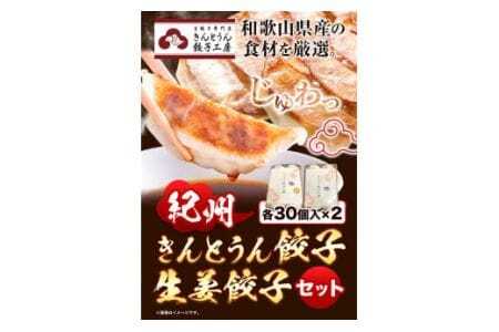 紀州きんとうん餃子 生姜餃子 2種 セット 計60個 ( 30個 入り × 2パック ) 
