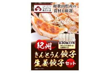 紀州きんとうん餃子 生姜餃子 2種 セット 計120個 ( 30個 入り × 4パック )