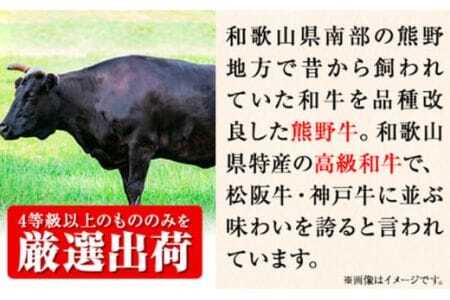 和歌山産 高級和牛 熊野牛 赤身しゃぶしゃぶ用 約600g 