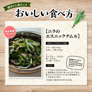 【先行予約】【12月から発送】肉厚・シャキシャキ! 朝採れ鮮度抜群! 櫻田さん家のニラ 1kg(100g×10束)  SMCS001
