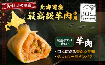 羊肉 焼き餃子 25個×1  [BEAD017] 羊焼ぎょうざ