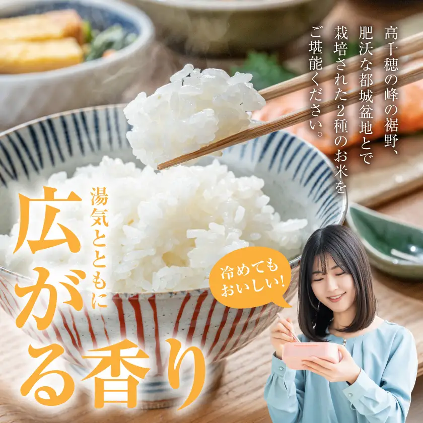 都城産のお米「おてんとそだち」&「ひのひかり」各3kg〔16-N5-003-6kg〕_(都城市) 宮崎県 都城産 お米 3㎏×2袋 食べ比べ  弁当 おにぎり