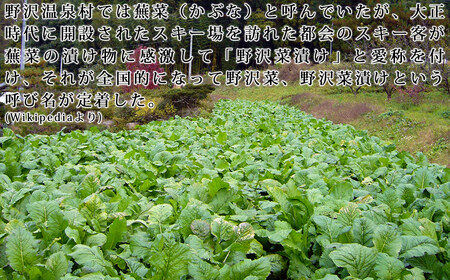 【先行受付】信州松本市産 漬物用「生の野沢菜」3kg