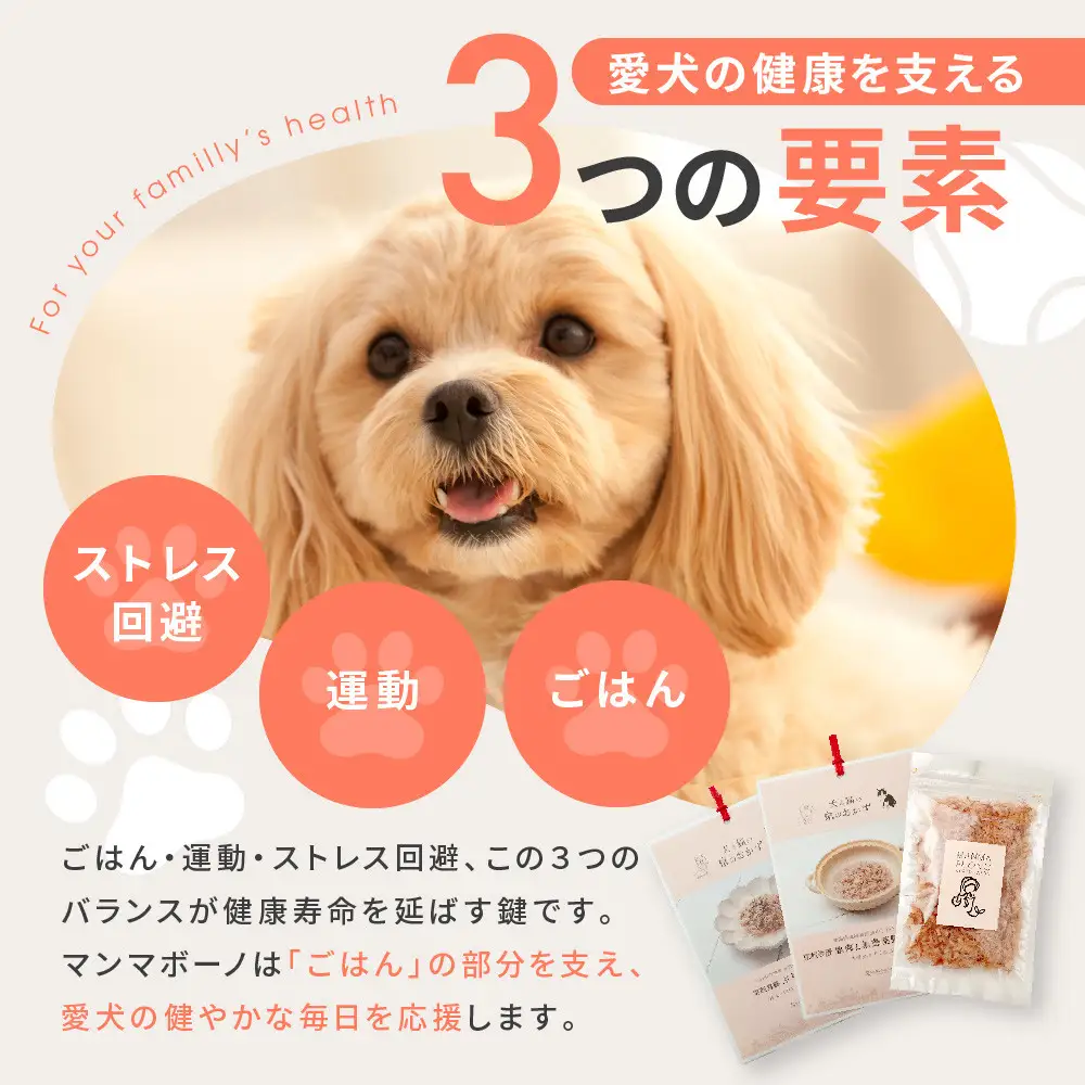 【MANMA BUONO】犬の手作りごはん お試しBセット5種｜京都 ペットフード ブランド 有名 人気ペットフード