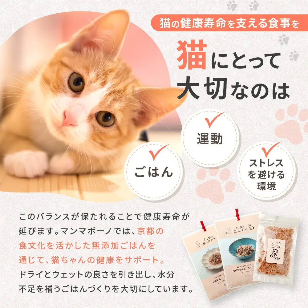 【MANMA BUONO】猫の手作りごはん お試しBセット4種｜京都 ペットフード ブランド 有名 人気ペットフード
