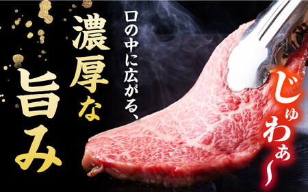 【6回定期便】五島牛 サーロインステーキ 210g×2 牛肉 肉 ブランド肉 五島市/ごとう農業協同組合[PAF074]