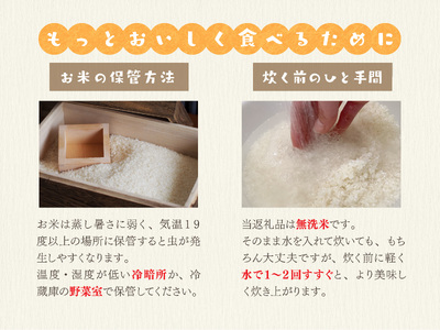 長野県産 コシヒカリ 5kg（無洗米） | 