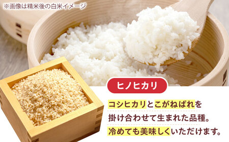 R7年度産 ヒノヒカリ 玄米 5キロ 5kg 高槻あぐり[AOCS031]