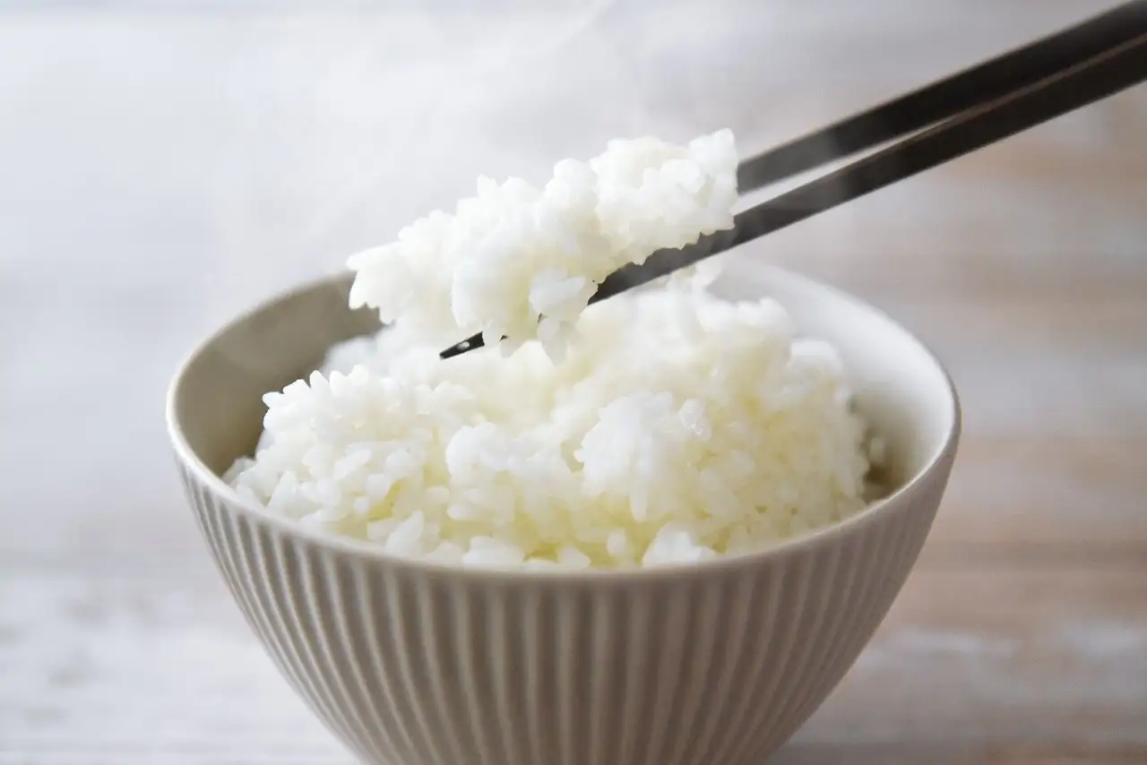 令和7年産コシヒカリ精米5kg｜ コシヒカリ ご飯 白米 千曲市 長野県 信州