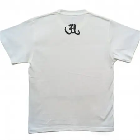 手描きTシャツ 仏画 大日如来 金剛界 白 (半袖 Lサイズ)【1662849】