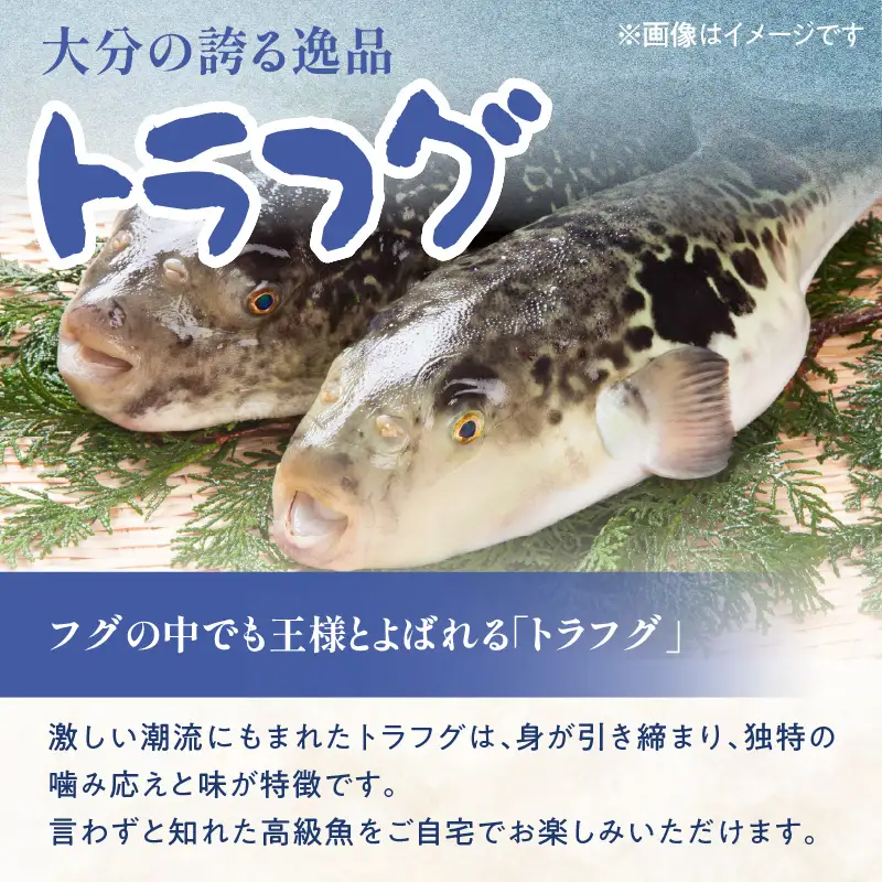 トラフグ うす引き・チリセット（33cm皿）【4月～10月までお届け】 E05029
