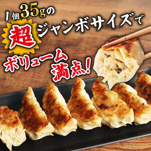 肉餃子 手包み ジャンボ 餃子 45個 冷凍 15個 × 3パック 【 餃子 】