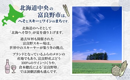 北海道 富良野市 寄附のみの応援受付 4,000円コース（返礼品なし 寄附のみ 4000円）