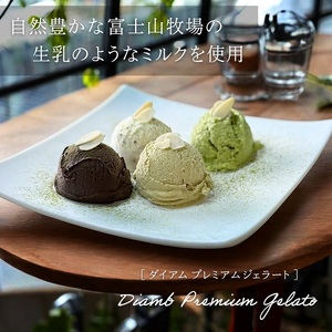 0012-95-03 Diamb Premium Gelato (ダイアムプレミアムジェラート) 100ml×6個 【フレーバー2種：ミルク・チョコ】