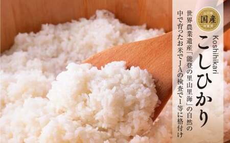 米 能登米 コシヒカリ 5kg×4袋 計20kg [道の駅織姫の里なかのと 石川県 中能登町 27aa0012]