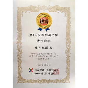 岡山市産 清水白桃 ご家庭用 大玉3玉 ＜2026年7月上旬～8月下旬頃出荷＞
