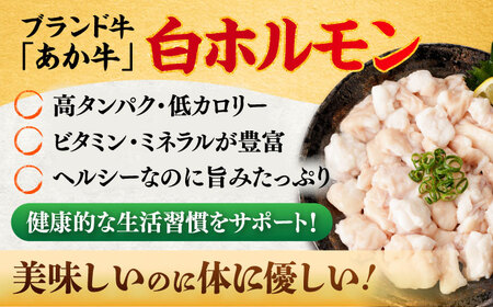 全3回定期便 あか牛 白 ホルモン 約500g ホルモン BHCY010